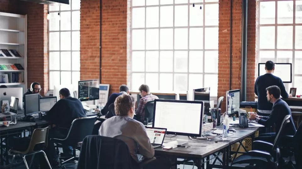 Как выбрать веб-студию в Боровичах по кейсам