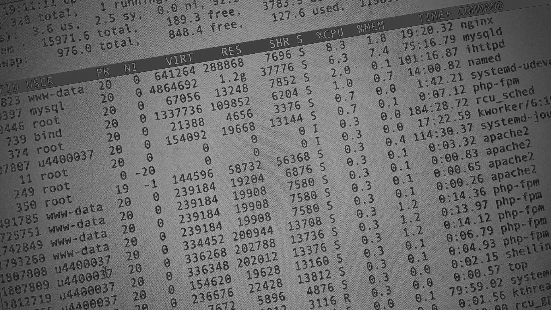 Настройка сервера в Боровичах