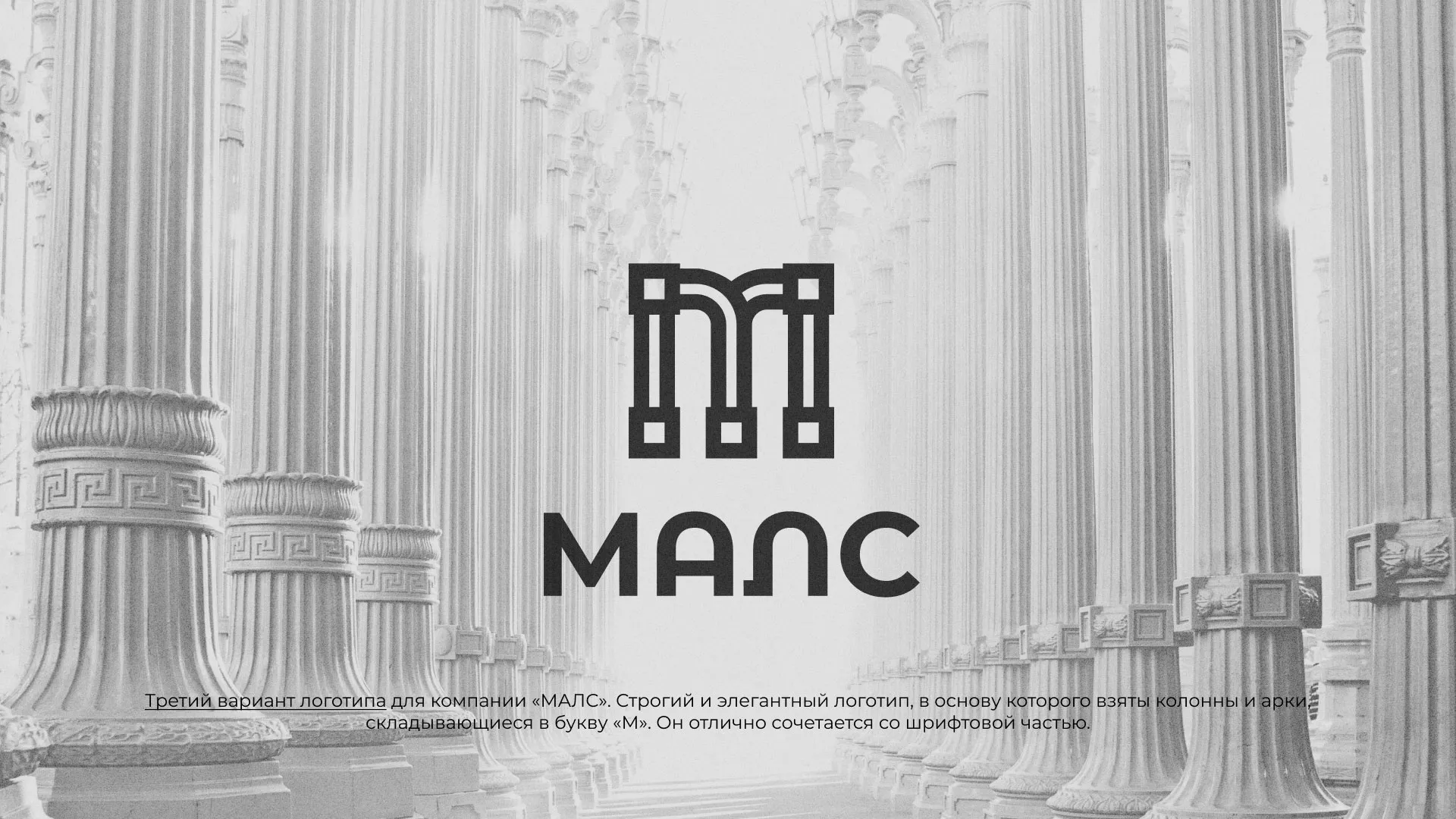Разработка логотипа компании «МАЛС» в Боровичах