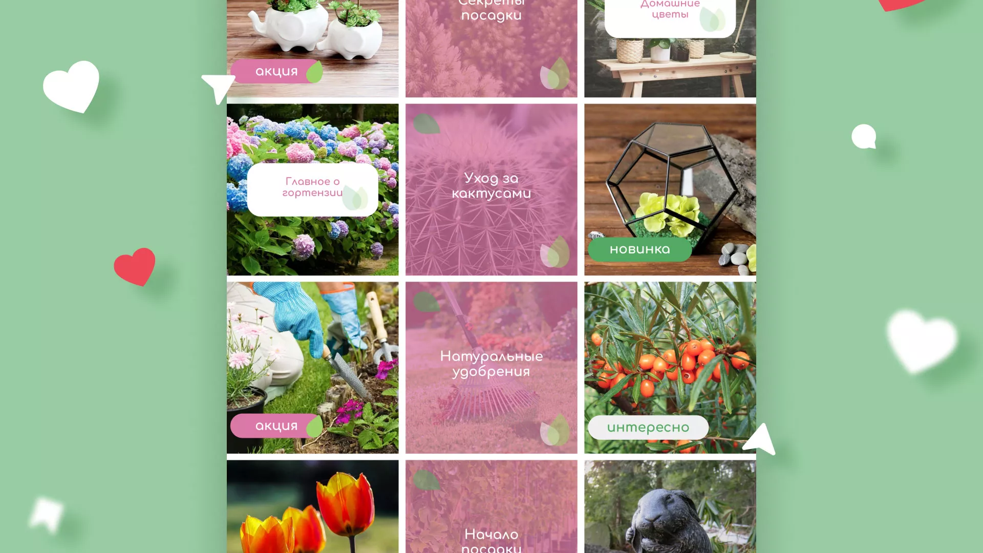 Разработка оформления профиля Instagram для магазина «Floraint» в Боровичах