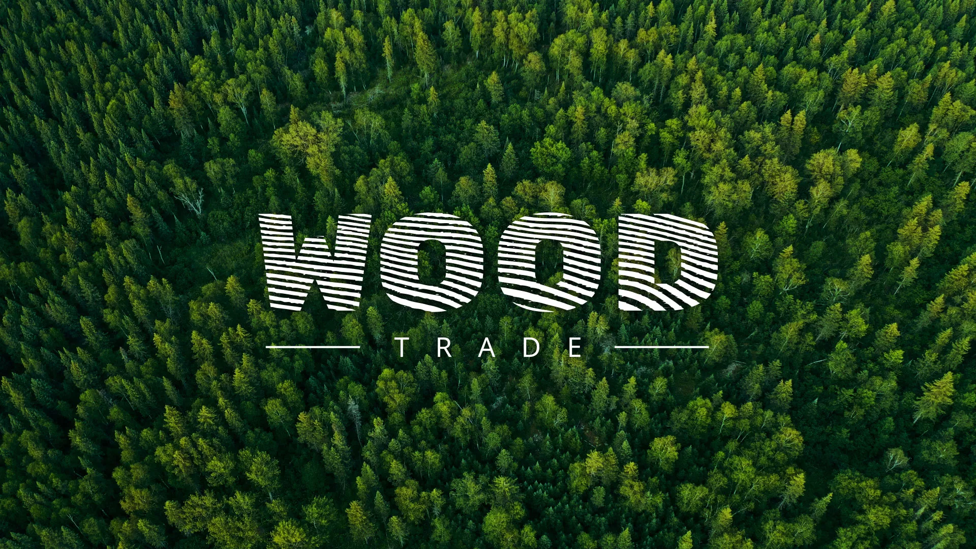 Разработка интернет-магазина компании «Wood Trade» в Боровичах